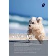 Photo2: ALMA 1000 (Collagen for Pets) (2)