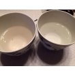 I dipped three grapes in the Almawater (left) and the tap water (right). You can see how the Alma Water works. You can imagine how the coat and skin are dirty.